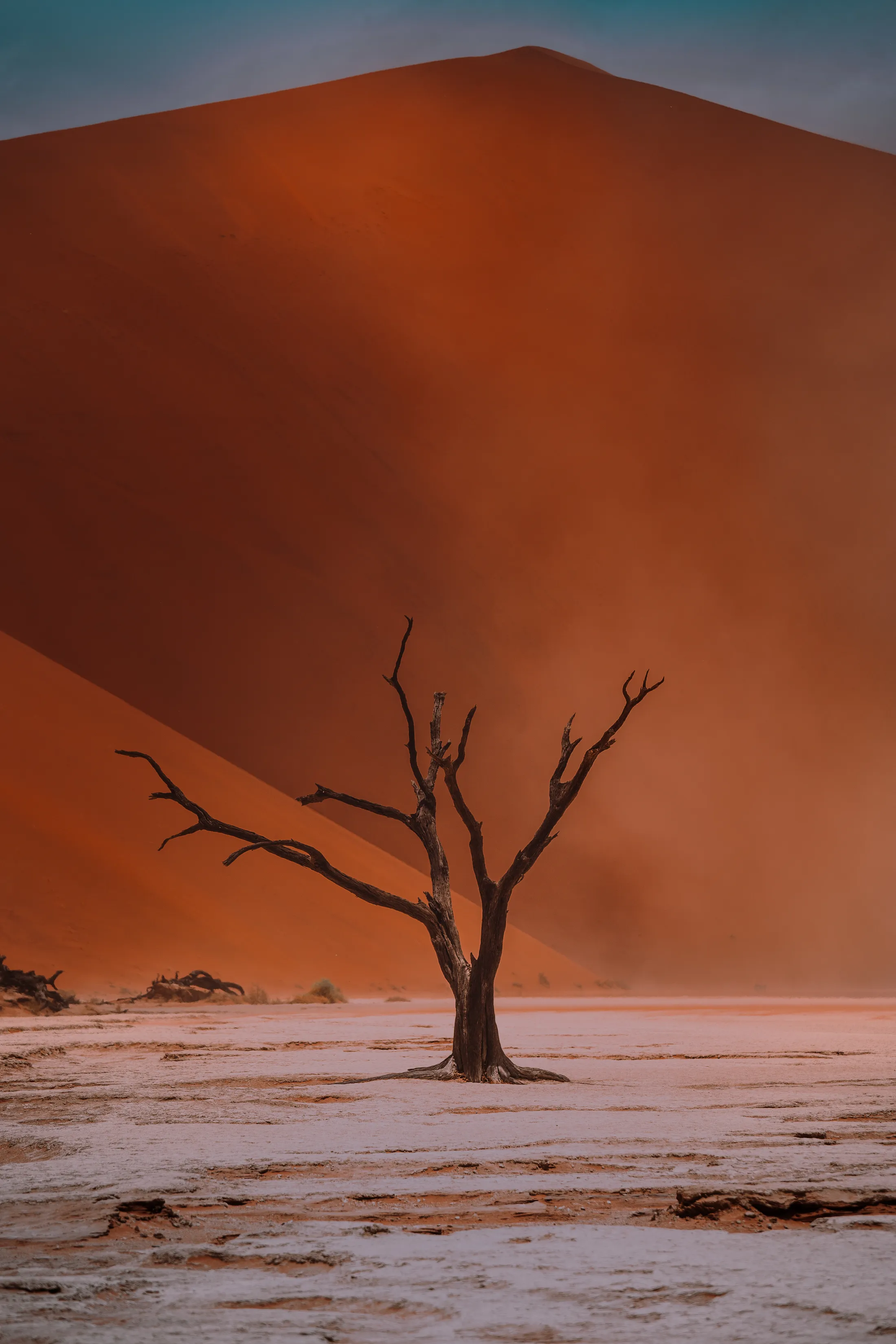 Deadvlei, Namibia