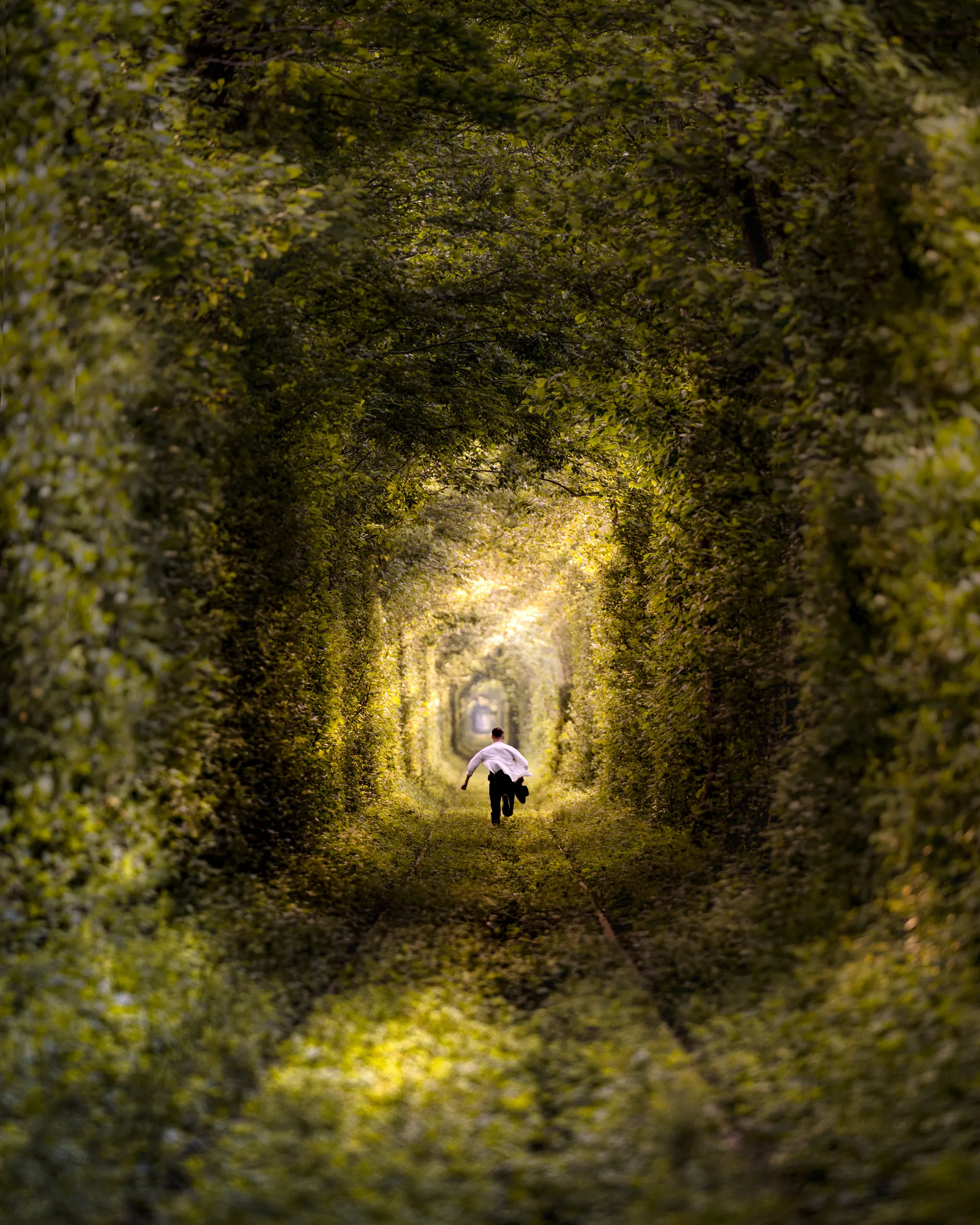 Tunnel of Love, Klevan, Ukraine